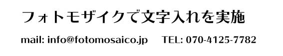 タイポスサンプル